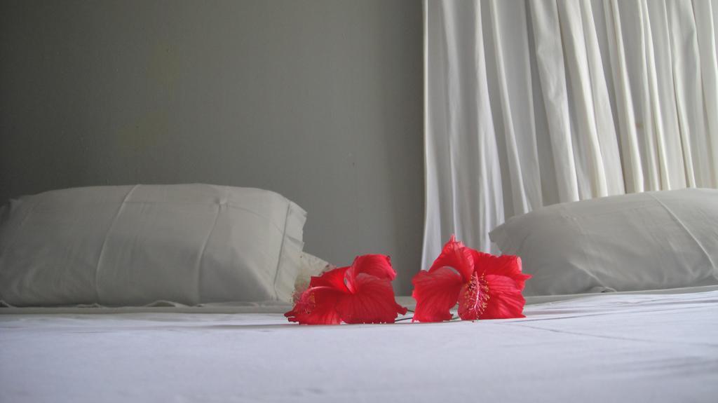 Apartamento Casa de Samuel Lobrito Fernando de Noronha Habitación foto